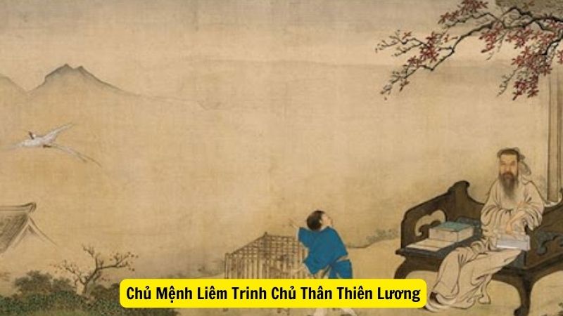 Chủ Mệnh Liêm Trinh Chủ Thân Thiên Lương