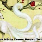 Con Hồ Ly Trong Phong Thủy