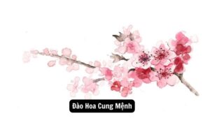 Bí ẩn Đằng Sau Đào Hoa Cung Mệnh