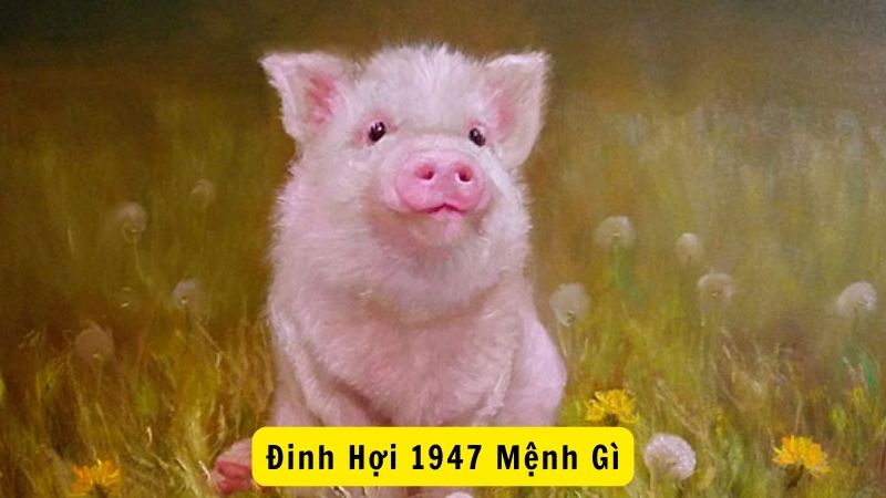 Đinh Hợi 1947 Mệnh Gì