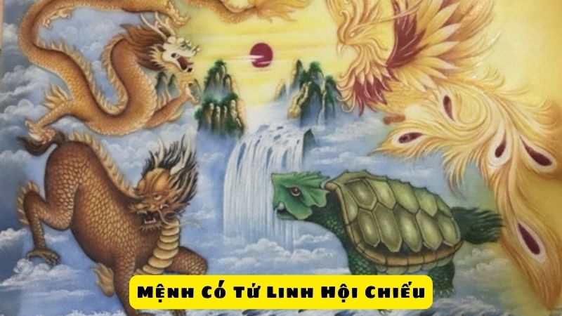 Mệnh Có Tứ Linh Hội Chiếu