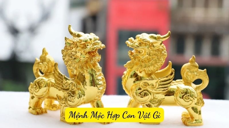 Mệnh Mộc Hợp Con Vật Gì