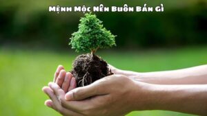 Mệnh Mộc Nên Buôn Bán Gì Để Phát Tài?