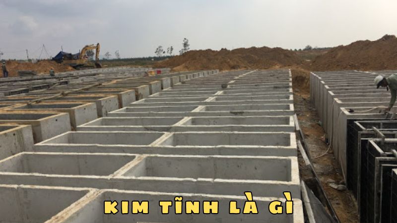 kim tĩnh là gì