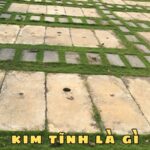 kim tĩnh là gì