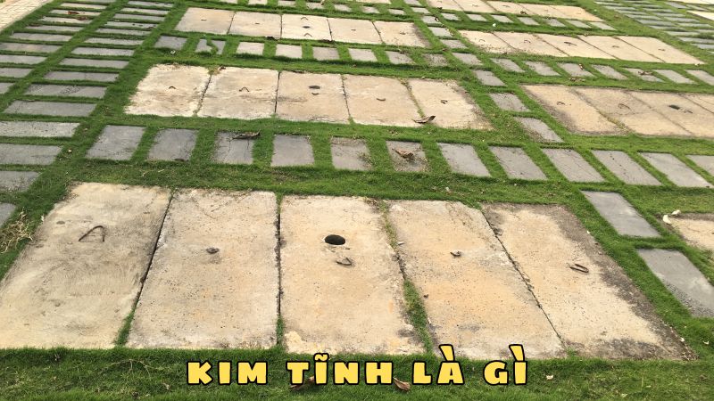 Kim Tĩnh Là Gì? Giải Mã Bí Ẩn Kim Tĩnh